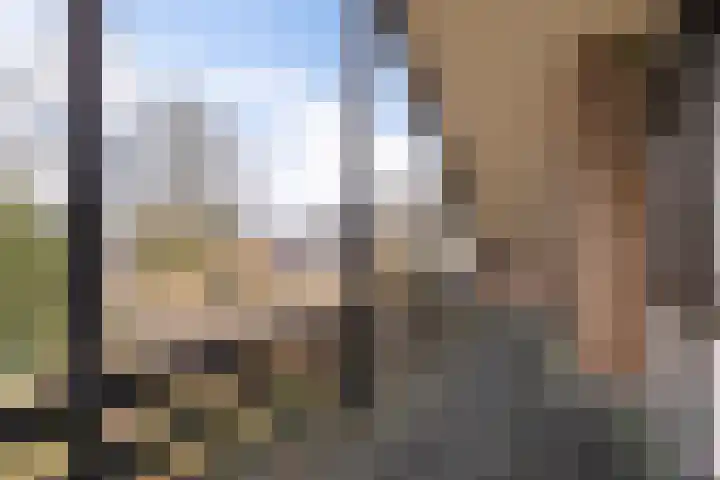 Burmanialân 1 Bakkeveen thumbnail 27