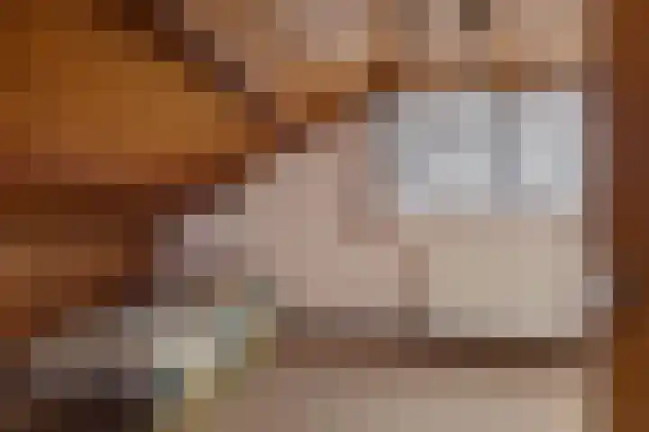 Burmanialân 1 Bakkeveen thumbnail 30