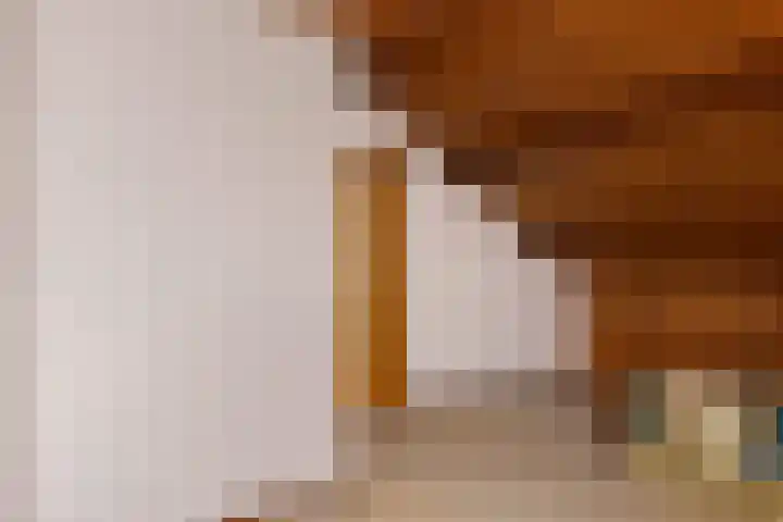 Burmanialân 1 Bakkeveen thumbnail 31