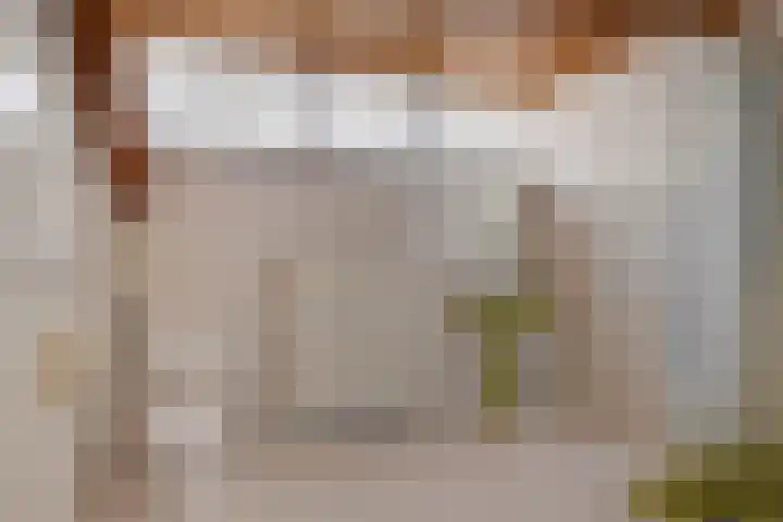 Burmanialân 1 Bakkeveen thumbnail 34