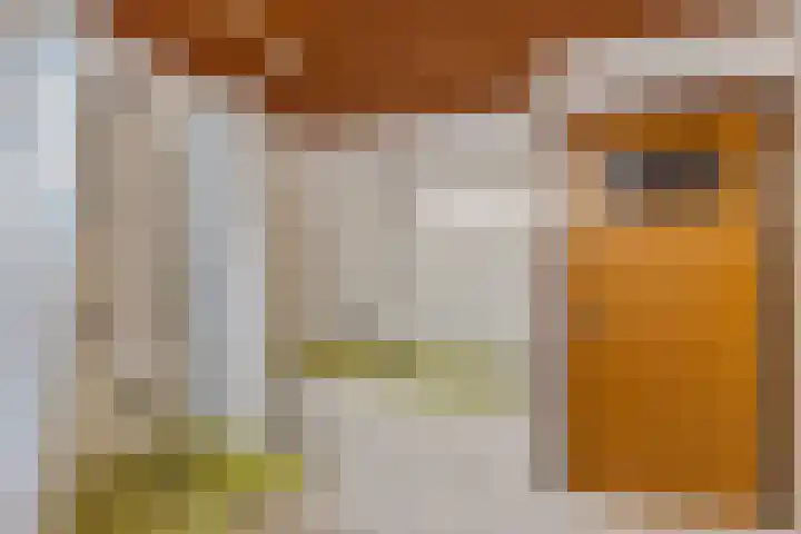 Burmanialân 1 Bakkeveen thumbnail 35