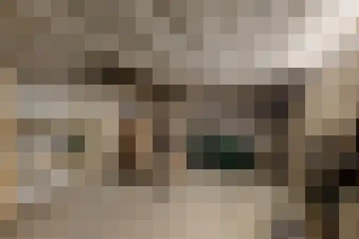 Burmanialân 1 Bakkeveen thumbnail 37