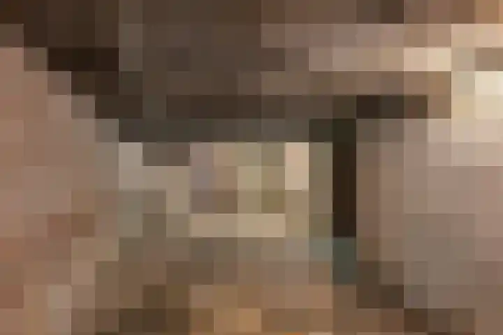 Burmanialân 1 Bakkeveen thumbnail 39
