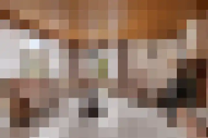 Burmanialân 1 Bakkeveen thumbnail 4