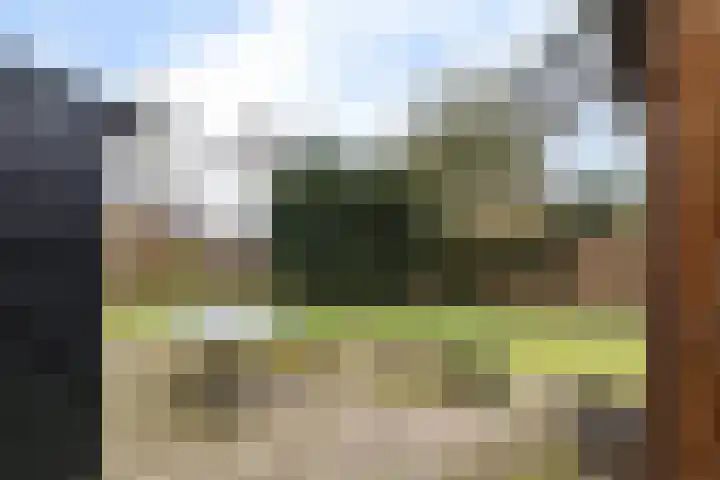 Burmanialân 1 Bakkeveen thumbnail 40