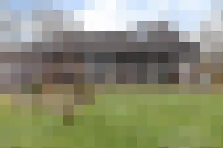 Burmanialân 1 Bakkeveen thumbnail 41