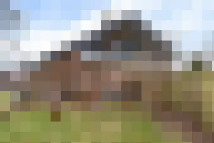 Burmanialân 1 Bakkeveen thumbnail 42