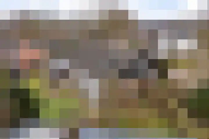 Burmanialân 1 Bakkeveen thumbnail 43