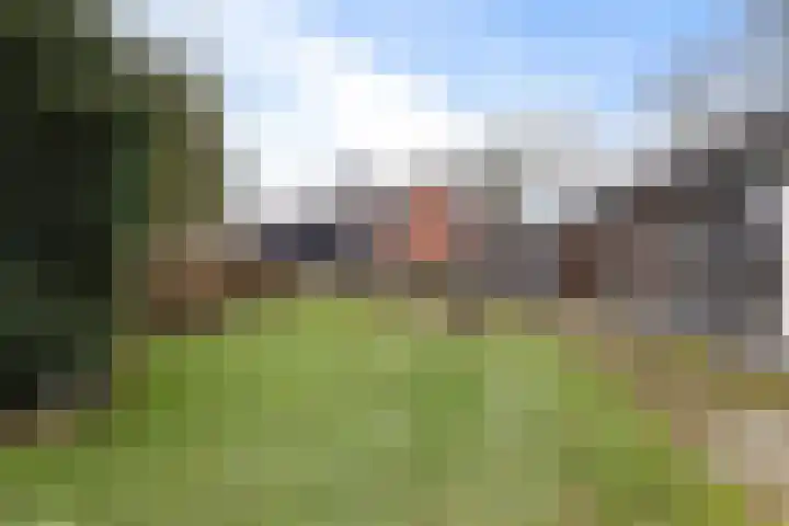 Burmanialân 1 Bakkeveen thumbnail 45
