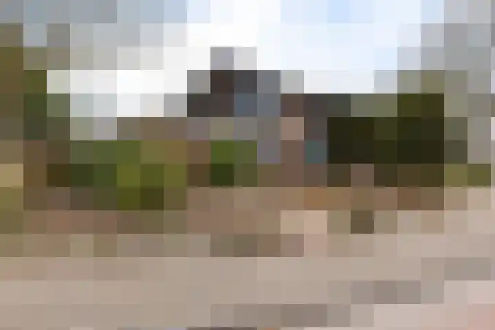 Burmanialân 1 Bakkeveen thumbnail 46