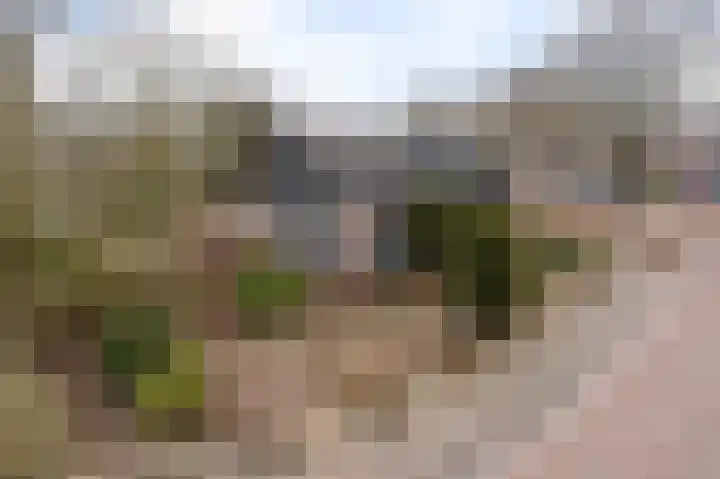 Burmanialân 1 Bakkeveen thumbnail 47