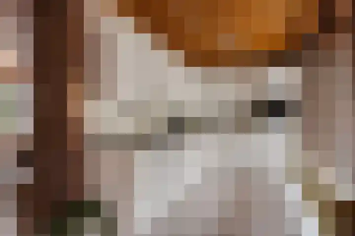 Burmanialân 1 Bakkeveen thumbnail 5