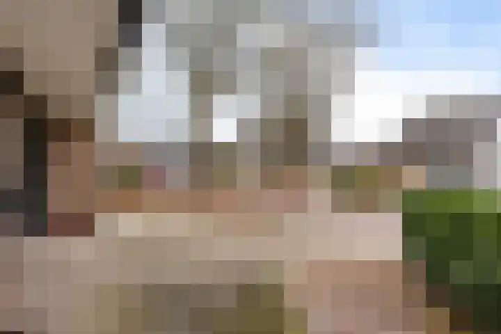 Burmanialân 1 Bakkeveen thumbnail 53