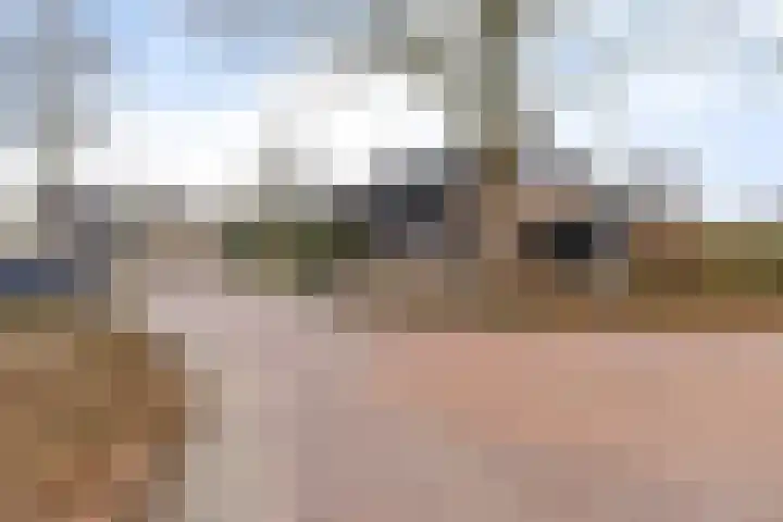 Burmanialân 1 Bakkeveen thumbnail 54