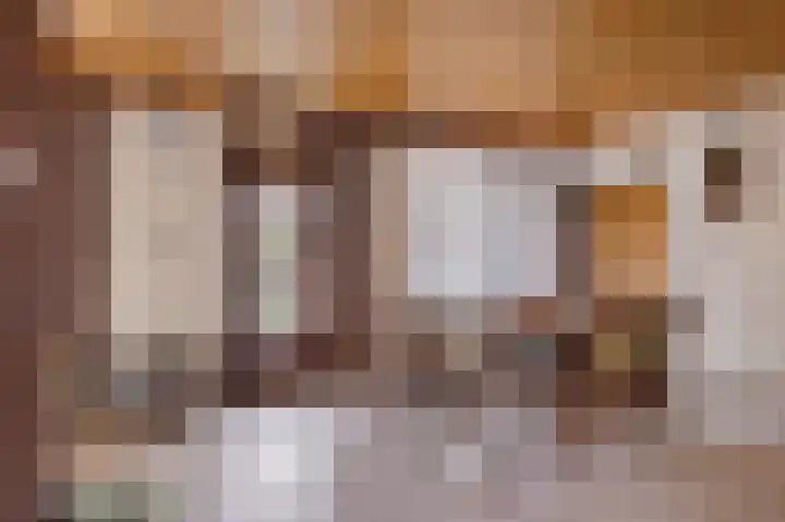 Burmanialân 1 Bakkeveen thumbnail 6