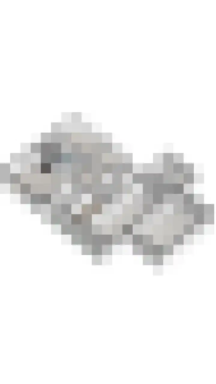 Burmanialân 1 Bakkeveen thumbnail 7