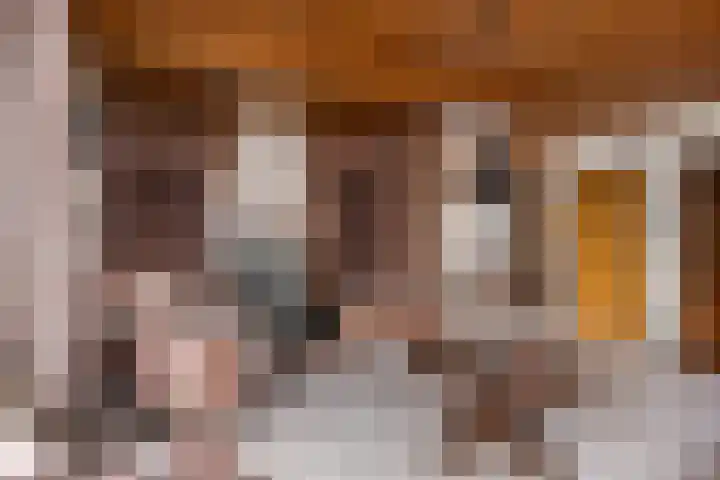 Burmanialân 1 Bakkeveen thumbnail 8