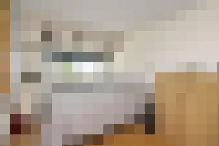 Burmanialân 28 Bakkeveen thumbnail 34