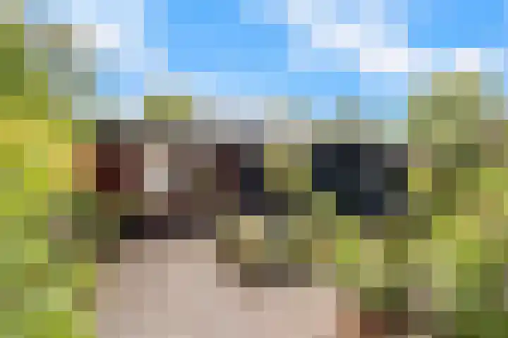 Burmanialân 28 Bakkeveen thumbnail 36