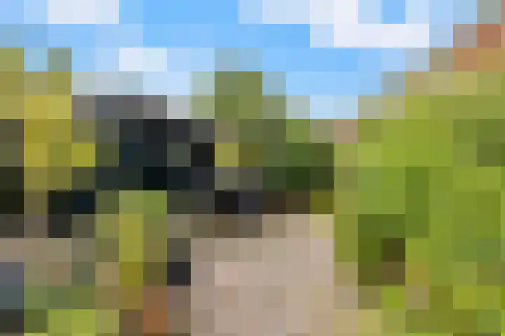 Burmanialân 28 Bakkeveen thumbnail 37