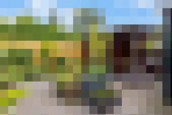 Burmanialân 28 Bakkeveen thumbnail 38