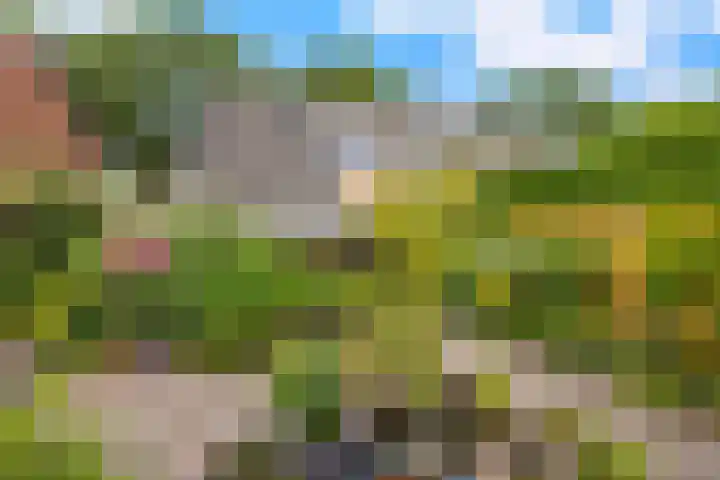 Burmanialân 28 Bakkeveen thumbnail 41