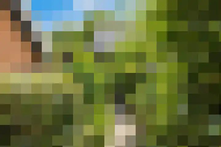 Burmanialân 28 Bakkeveen thumbnail 43