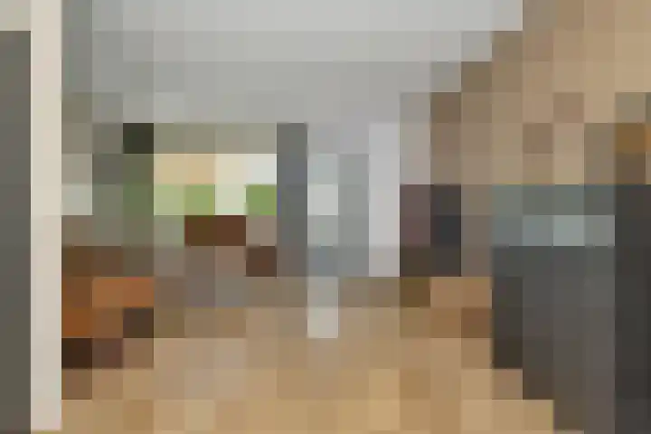 Burmanialân 28 Bakkeveen thumbnail 6