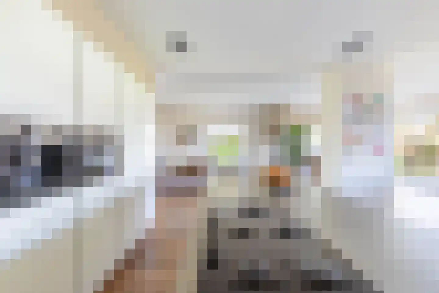 Burmaniastrjitte 19 Ysbrechtum thumbnail 13