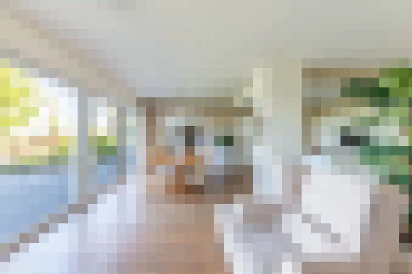 Burmaniastrjitte 19 Ysbrechtum thumbnail 16