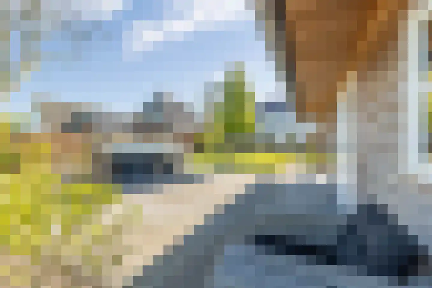 Burmaniastrjitte 19 Ysbrechtum thumbnail 29