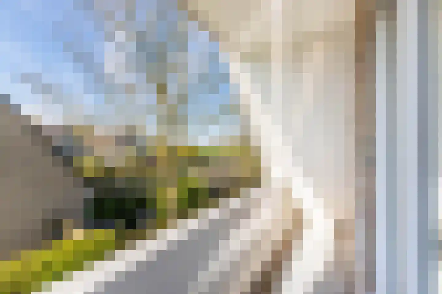 Burmaniastrjitte 19 Ysbrechtum thumbnail 41