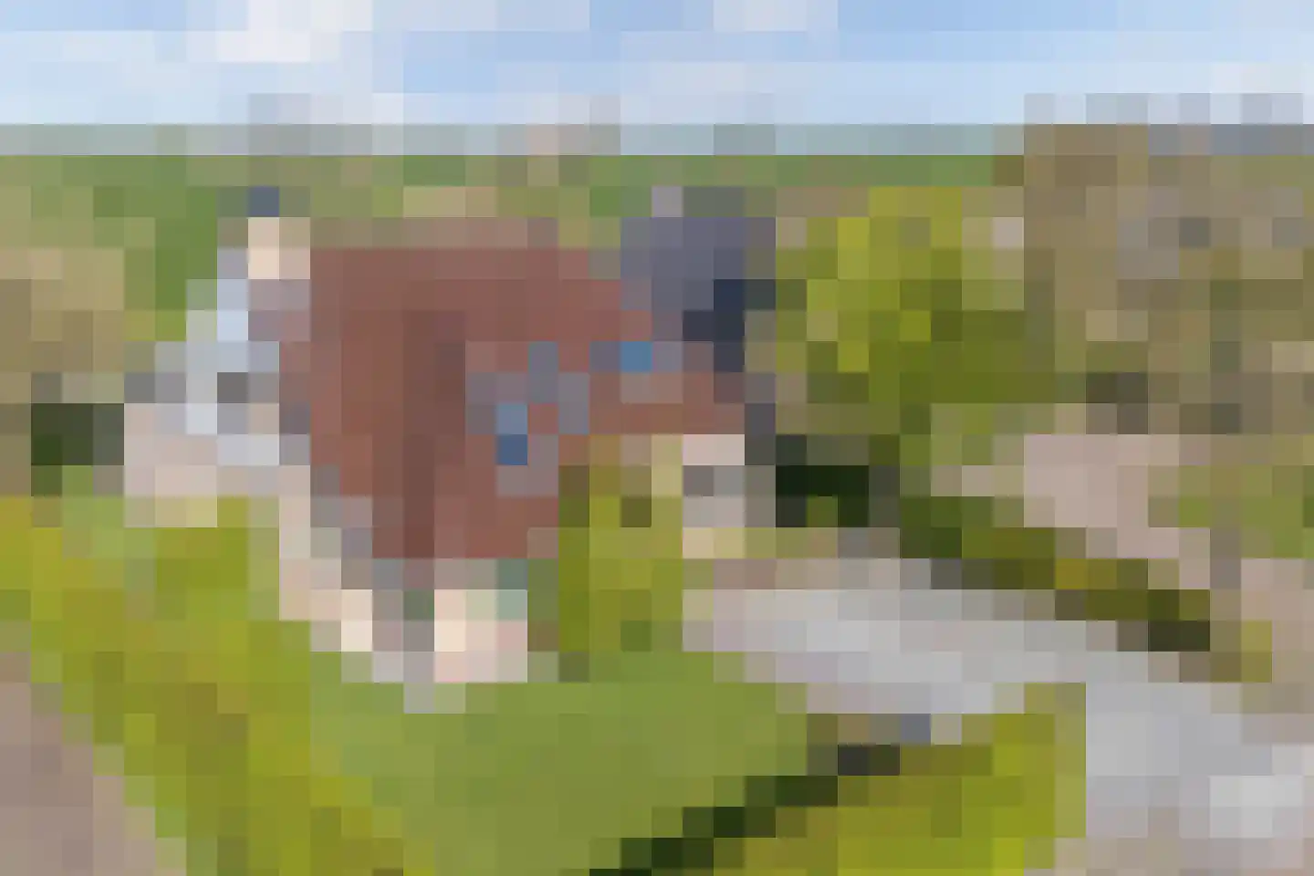 Burmaniastrjitte 19 Ysbrechtum thumbnail 52