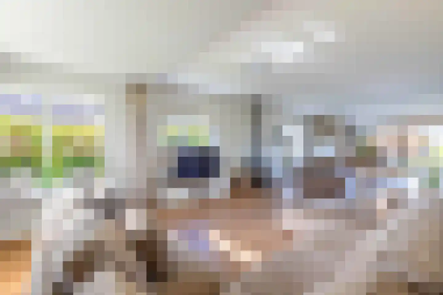 Burmaniastrjitte 19 Ysbrechtum thumbnail 9