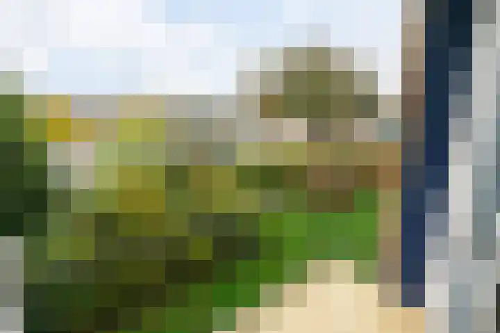 Burmanlaan 110 Wassenaar thumbnail 14