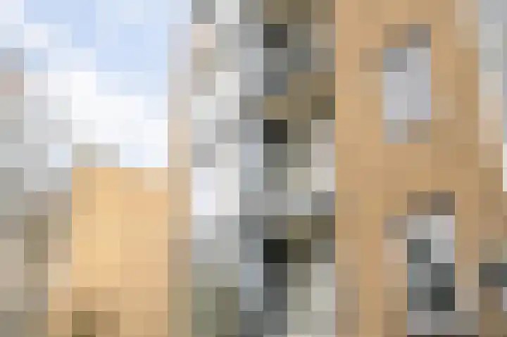 Burmanlaan 110 Wassenaar thumbnail 4