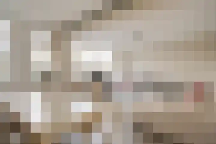 Burmanlaan 110 Wassenaar thumbnail 8