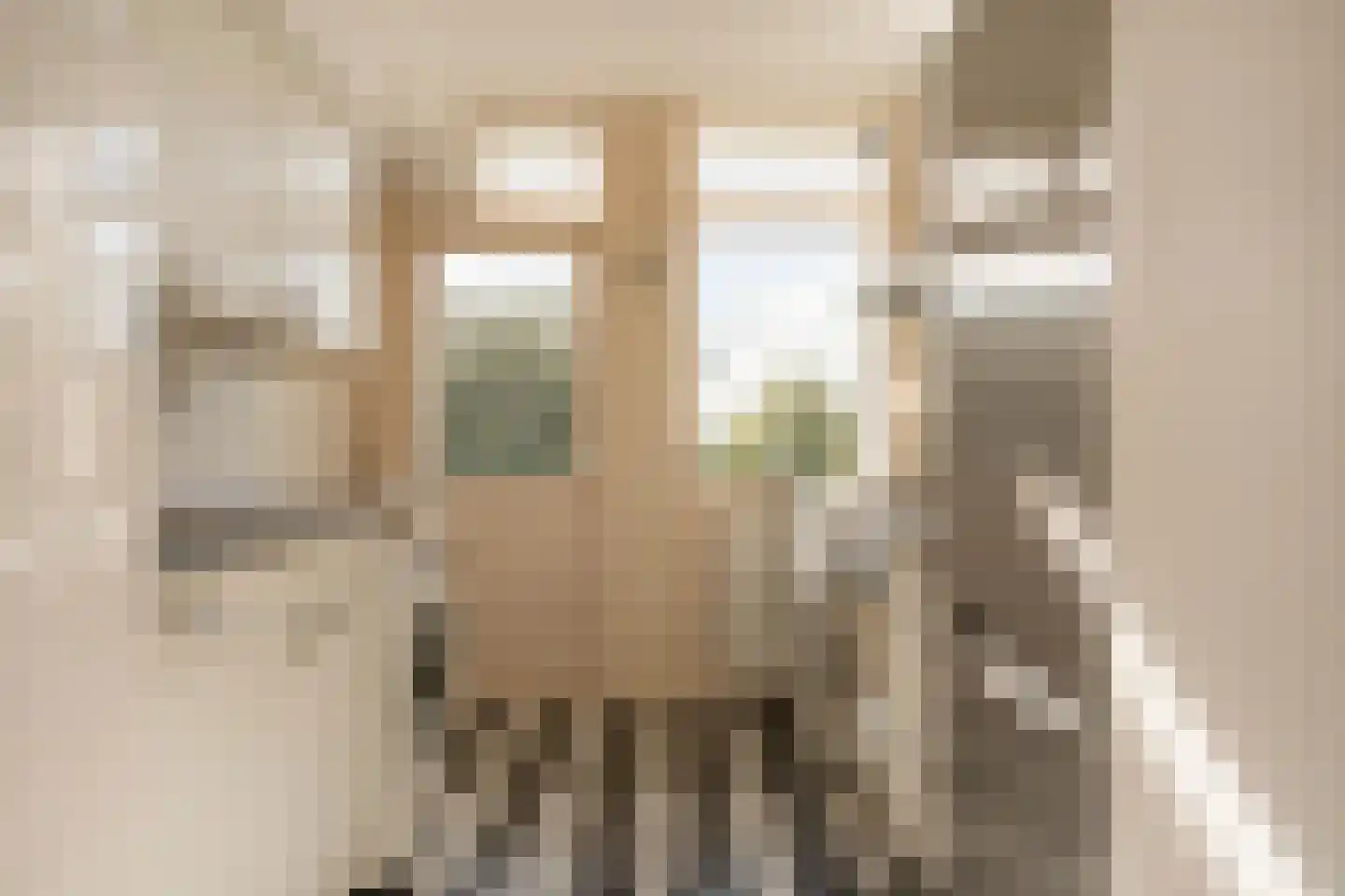 Burmanlaan 122 Wassenaar thumbnail 14