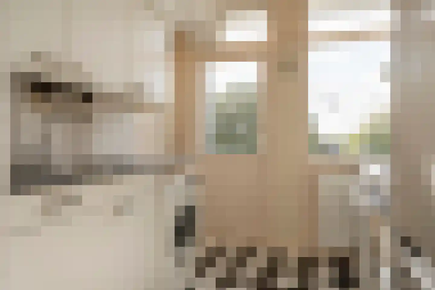 Burmanlaan 122 Wassenaar thumbnail 15