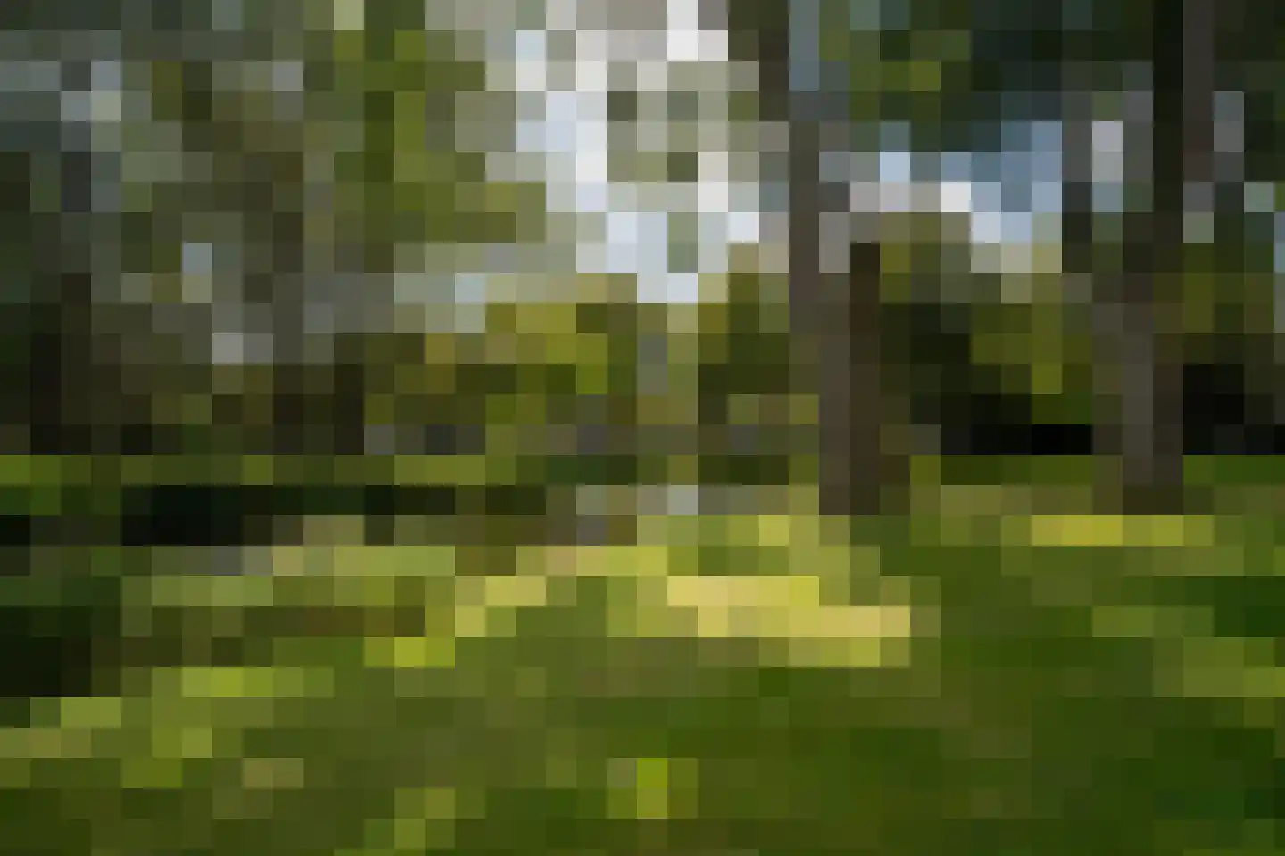 Burmanlaan 122 Wassenaar thumbnail 32