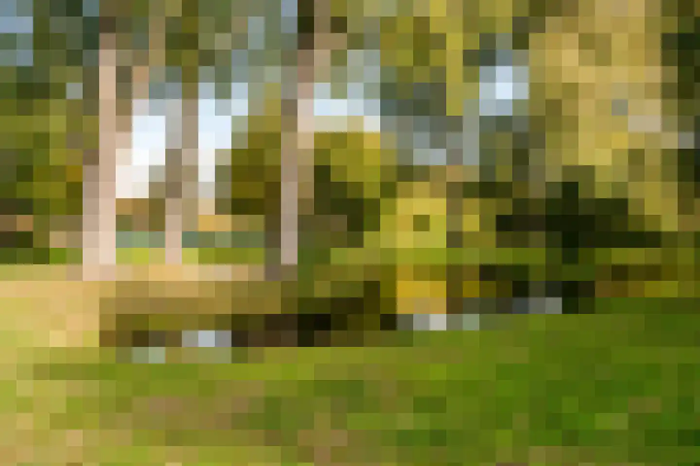 Burmanlaan 154 Wassenaar thumbnail 31