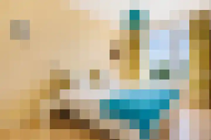 Burmanlaan 28 Wassenaar thumbnail 19