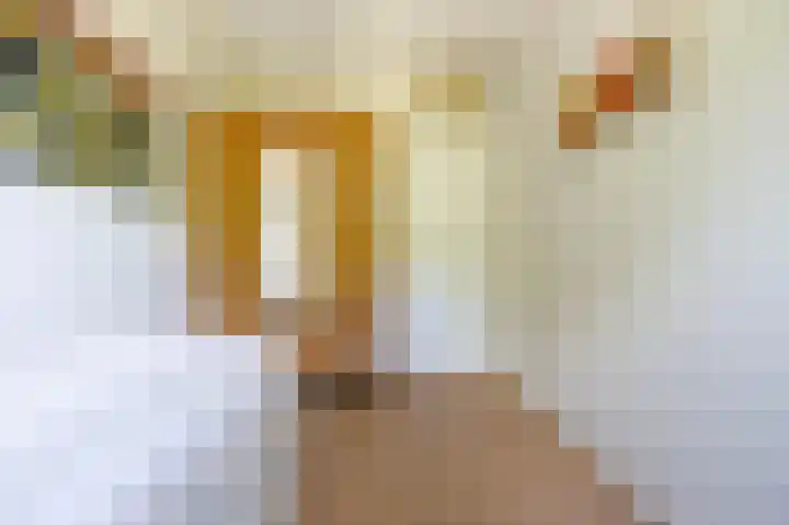 Burmanlaan 28 Wassenaar thumbnail 24