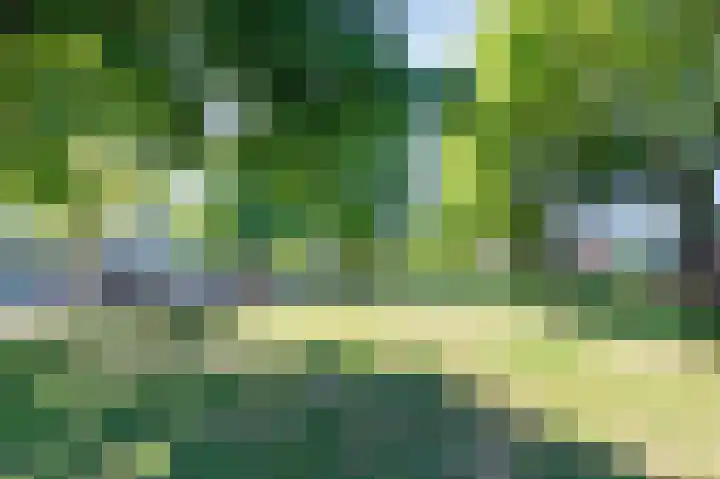Burmanlaan 28 Wassenaar thumbnail 28
