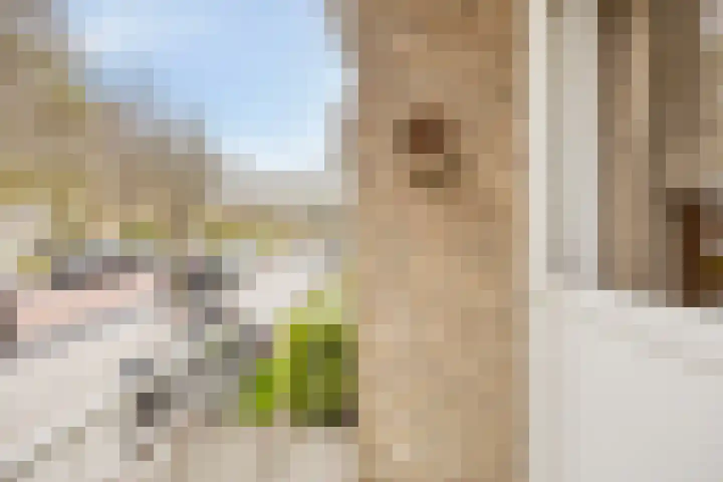 Burmanlaan 34 Wassenaar thumbnail 12