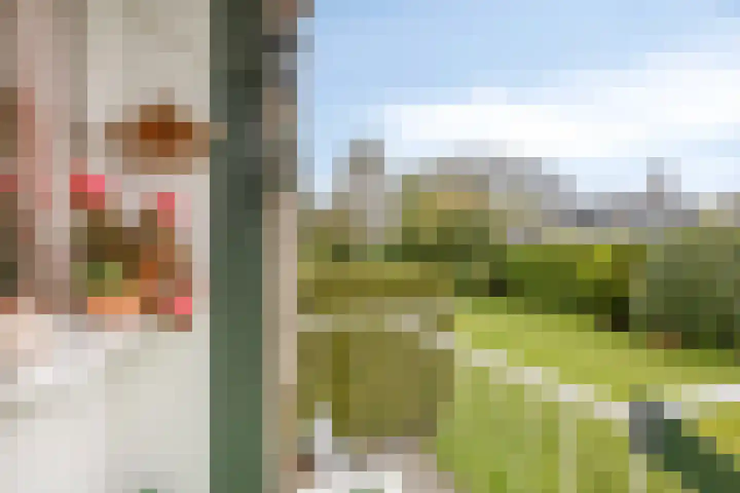Burmanlaan 34 Wassenaar thumbnail 26
