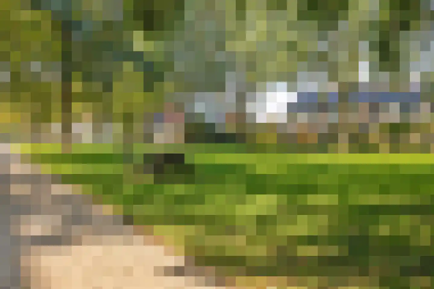 Burmanlaan 34 Wassenaar thumbnail 30