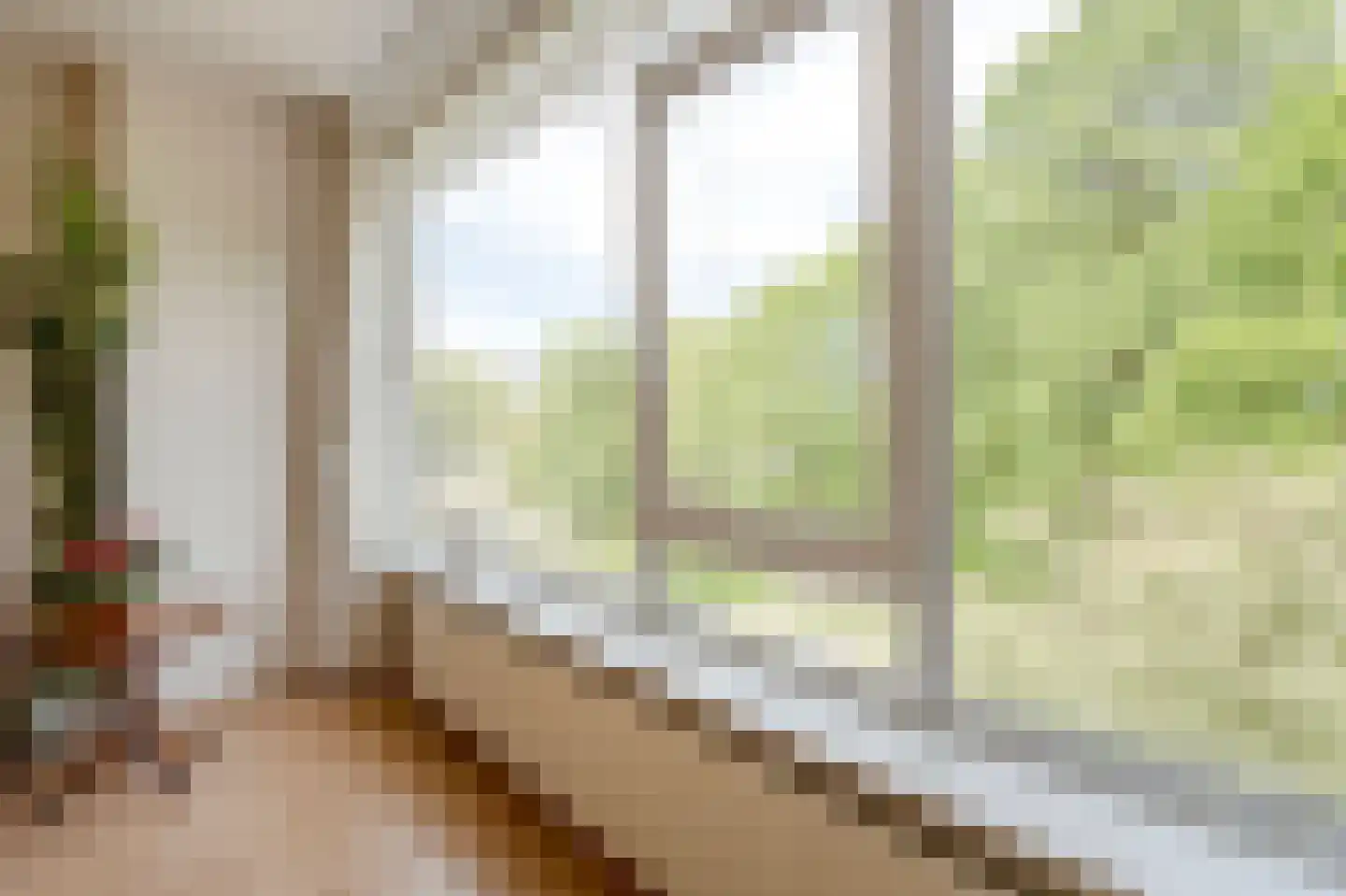 Burmanlaan 38 Wassenaar thumbnail 14
