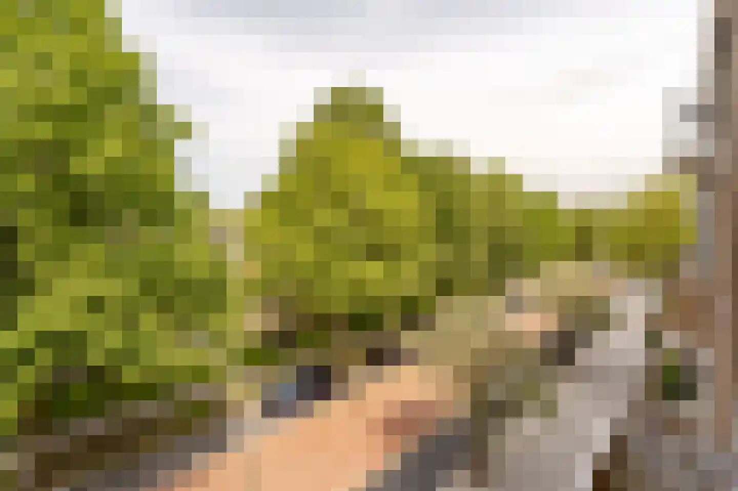 Burmanlaan 38 Wassenaar thumbnail 15