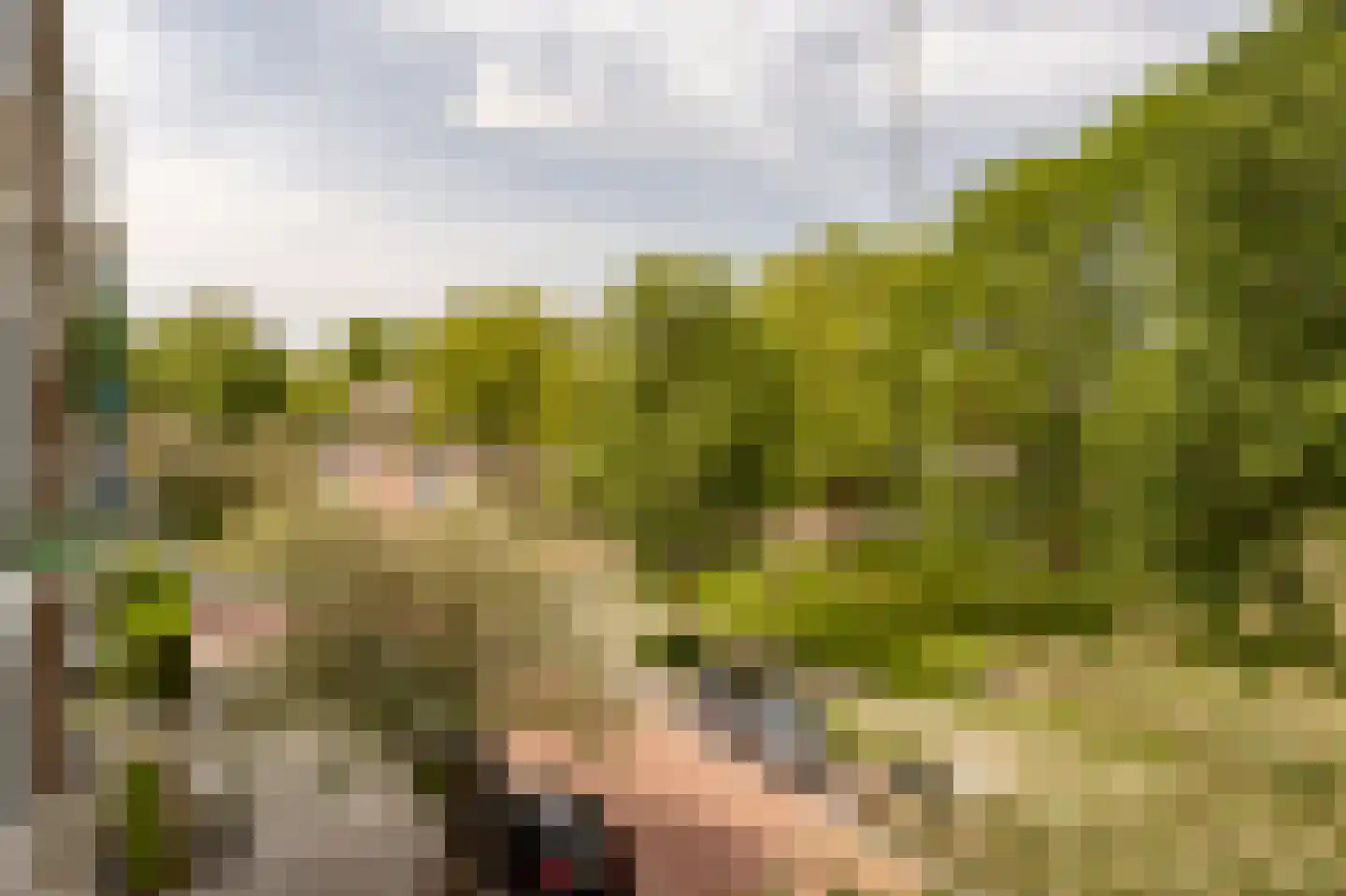 Burmanlaan 38 Wassenaar thumbnail 16